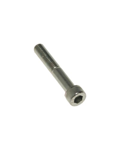 Unbrakoskrue med cylinderhoved M10 x 60 mm - med skaft