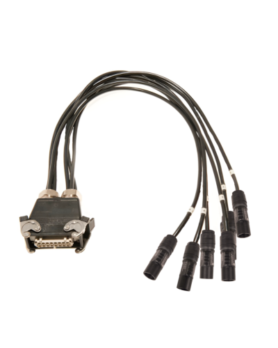 Indtagspisk 6 x True1 Han -> ILME 16 Pol Hun