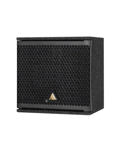 Adamson IS5c 100x100 conical